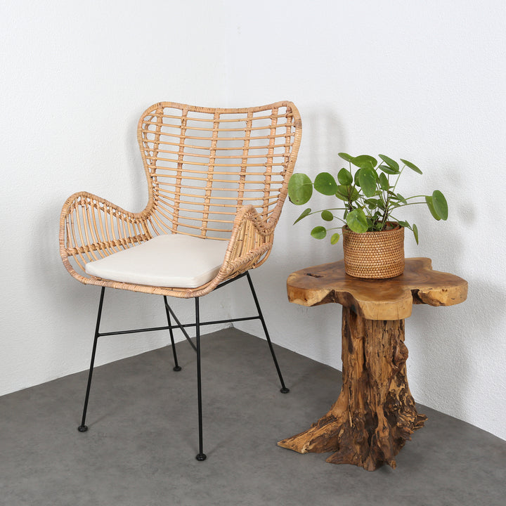 Πολυθρόνα Rattan Monia